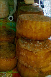 Caciotta di pecora (ripened sheep cheese)