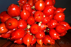Pomodorini Piennole del Vesuvio (Piennolo cherrytomatoes from Vesuvius)